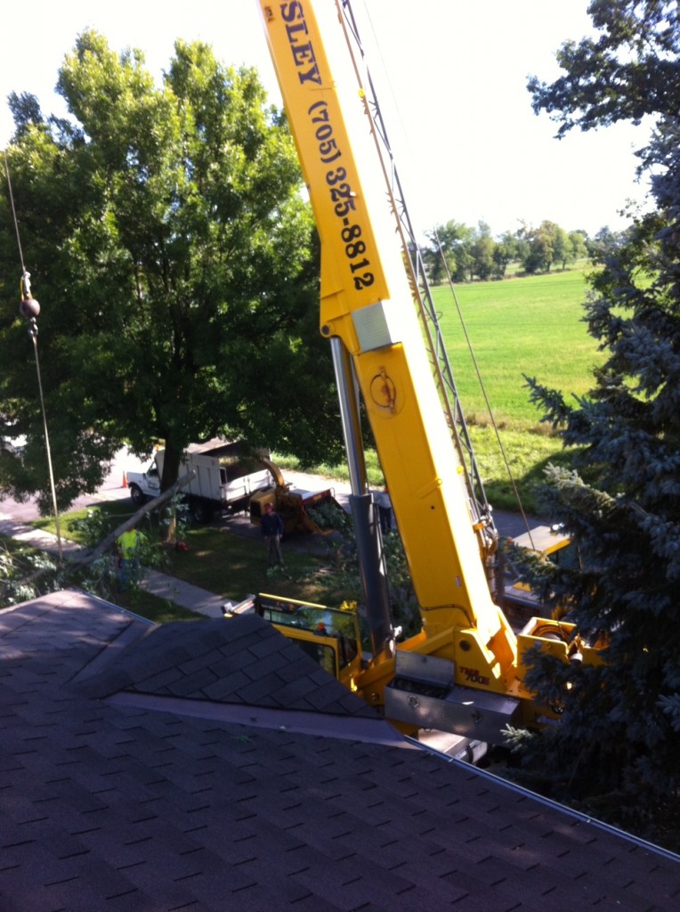 Crane & Grapple Saw project