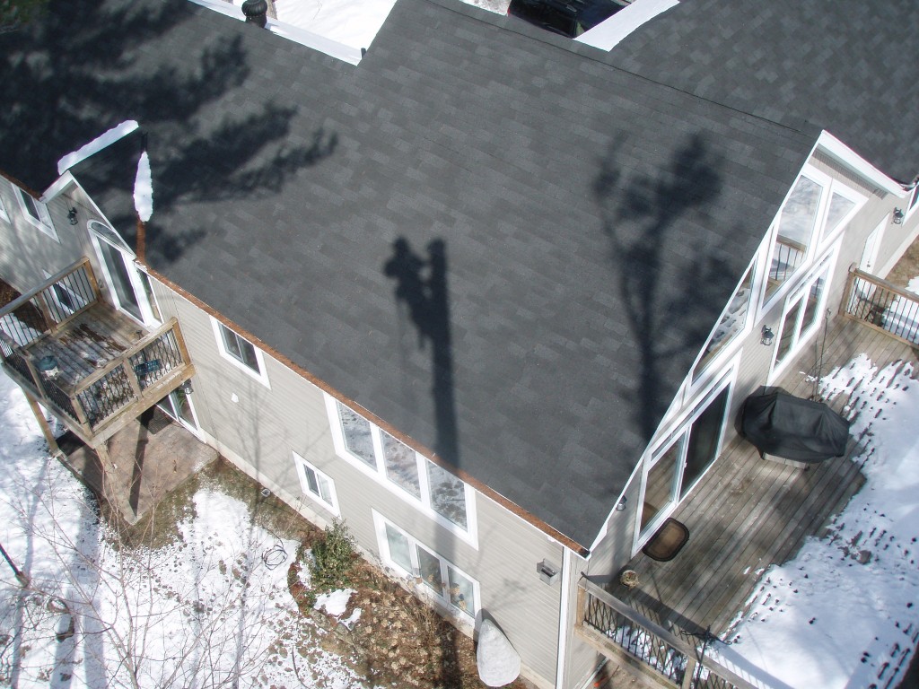 Pruning & Tree Care project